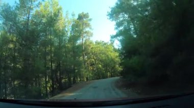 Ağaçların arasından süzülen bereketli yeşillik ve güneş ışığıyla çevrili, dolambaçlı bir orman yolunda yol alan araç, yolculuğun ve doğa yolunun manzaralı güzelliğini gözler önüne seriyor..