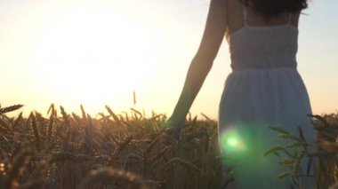 Buğday tarlalarının arasında yürüyen beyaz elbiseli, gün batımında olgun mahsul kulaklarına dokunan tanınmamış bir kadın. Tasasız kız kırsalda güzel bir yaz akşamının tadını çıkarıyor. Özgürlük kavramı. Yavaş çekim.