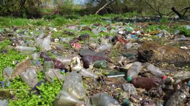 Ormandaki yeşil çimlerin üzerinde bir sürü plastik şişe var. Çöp doğadaki açık ve serbestçe ulaşılabilir yerlere atılır. Küresel çevre kirliliği sorunu. Ekolojik felaket kavramı. Yavaş çekim.