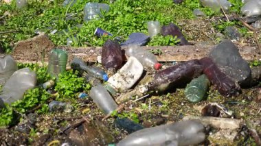 Ormandaki yeşil çimlerin üzerinde bir sürü plastik şişe var. Çöp doğadaki açık ve serbestçe ulaşılabilir yerlere atılır. Küresel çevre kirliliği sorunu. Ekolojik felaket kavramı. Yavaş çekim.