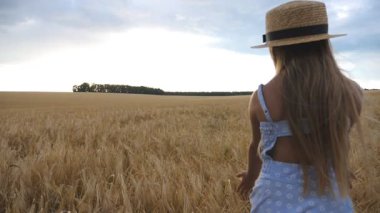 Hasır şapkalı küçük kız buğday tarlasında yürüyor, kameraya dönüyor ve gülümsüyor. Uzun sarı saçlı sevimli çocuk mahsulün altın kulaklarına dokunuyor. Arpa çayırı üzerinden giden elbiseli küçük çocuk,