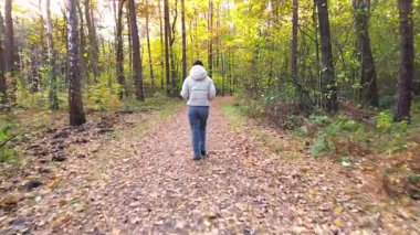 Renkli yapraklar ve yapraklarla çevrili, canlı bir sonbahar ormanında yürüyen kız, kamera yumuşak bir hareketle sakin atmosferi yakalıyor.