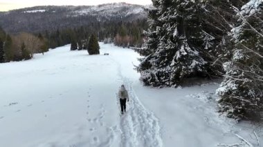 Ağaçlar ve dağlarla çevrili, karla kaplı arazide yürüyen bir kadının hava görüntüsü, sakin kış manzarasını ve açık havanın doğal güzelliğini gözler önüne seriyor.