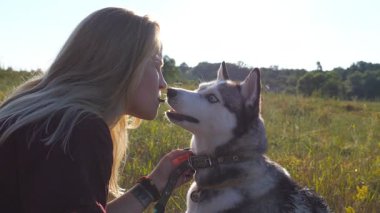 Sarışın bir kızın ağzında bir parça çikolata tutarken ve Sibirya köpeği tarladan çıkarırken yakın plan. Evcil hayvanlarla sevgi ve arkadaşlık. Yan görünüm Yavaş çekim.