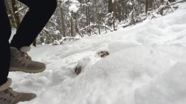 Genç bir kadın, karlı bir orman patikasında geziniyor, karla kaplı zeminde dikkatle yürüyor, kış yürüyüşü ekipmanlarını gösteriyor ve kışın sakin manzarasının güzelliğini gösteriyor.