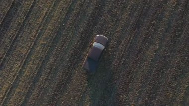 Sonbaharda tarlaların arasında uçan bir araba. Hasattan sonra tarladan geçen bir kamyonet. Otlakta giden off-road aracı. Tarım çiftçiliği kavramı. Hava görüntüsü.