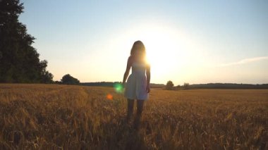 Güzel kız gün batımında mavi gökyüzünün altında buğday tarlası boyunca yürüyor. Genç bir kadın çayıra gidiyor. Doğa konseptinde yaz tatili. Yavaşça kapat..
