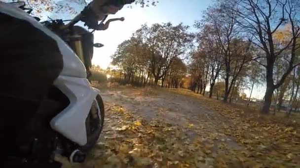 Motocicleta andando na estrada da floresta em um dia ensolarado de outono . — Vídeo de Stock