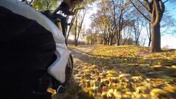 Мотоцикл їде по лісовій дорозі в сонячний осінній день — стокове відео