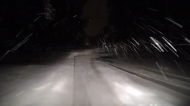 Conduire à travers la forêt d'hiver sur la route enneigée la nuit — Video