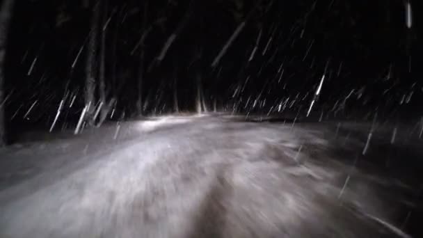 Comece a dirigir pela floresta de inverno na estrada nevada à noite — Vídeo de Stock