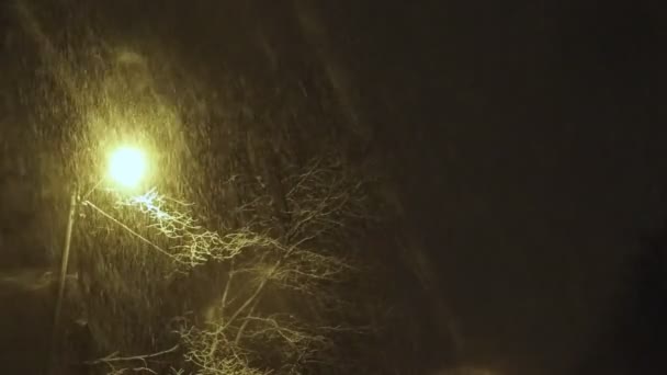 Fallande snö i gatlyktorna — Stockvideo