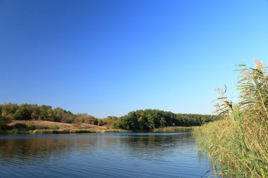 Nehir ve orman manzara. Karatysh Nehri, Volodarsky district, Donetsk region, Ukrayna.