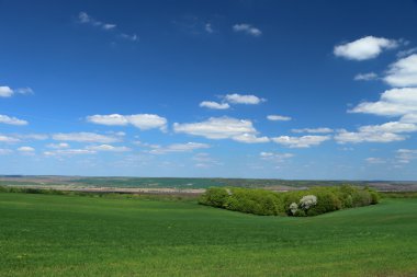 Küçük dağ geçidi ormanda
