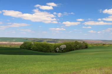 Küçük orman alanı dağ geçidi