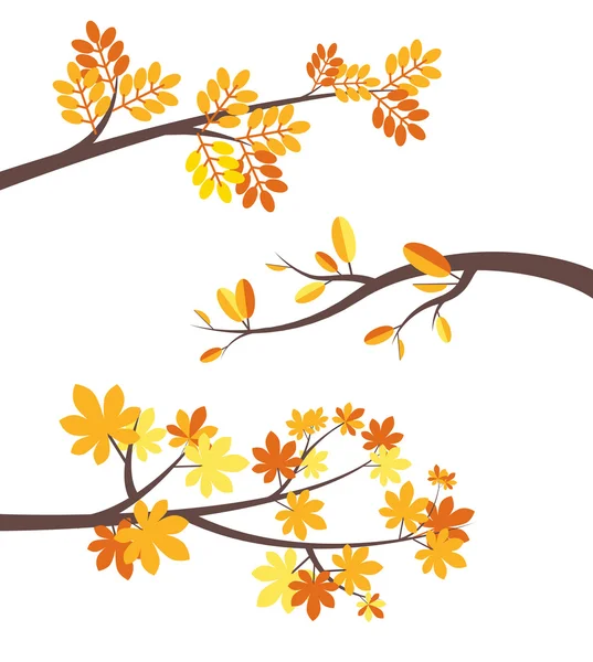 Árbol de otoño brunches conjunto de borde de vector plano — Archivo Imágenes Vectoriales