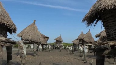 Kulübe üzerinde kazık, Fadiouk Adası, Senegal