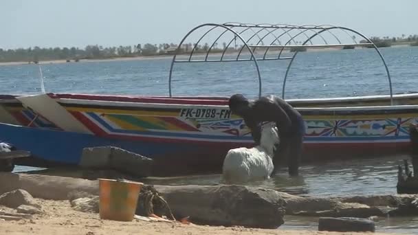 Os homens e seu cavalo na ilha de Fadiouk, no Senegal — Vídeo de Stock