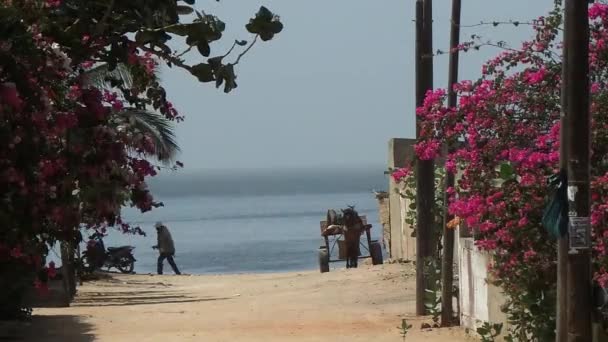 Cena da vida na aldeia de Saly no Senegal — Vídeo de Stock