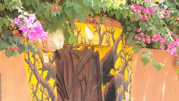 Door decorated with flowers in Senegal — Stock Video