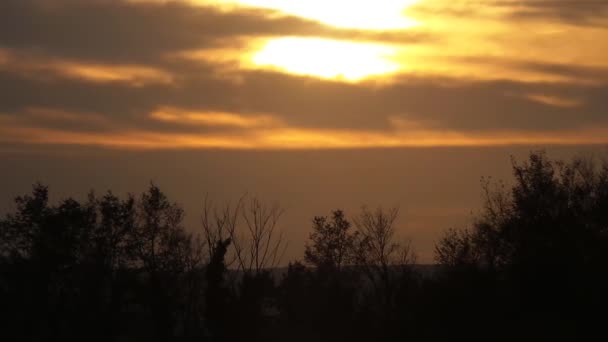 Západ slunce v národním parku Camargue ve Francii — Stock video