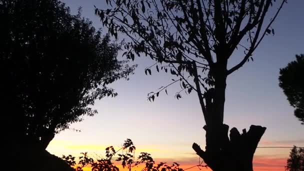 Zonsondergang in nationaal park van de Camargue in Frankrijk — Stockvideo