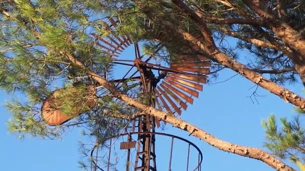 Das Haus in Weinbergen und Windkraftanlagen — Stockvideo