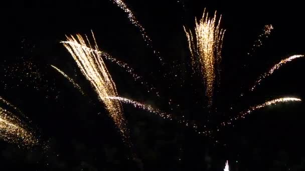 Fogos de artifício em praia, França — Vídeo de Stock