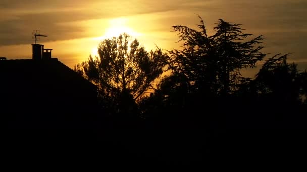 Pôr do sol em madeira de outono — Vídeo de Stock