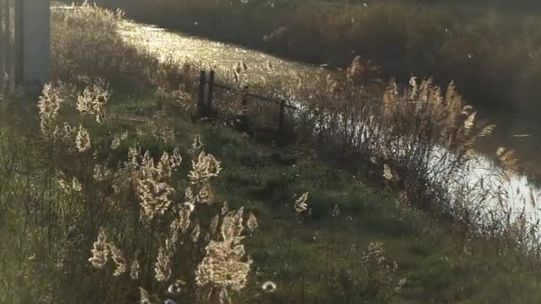 Natureza Paisagem e rio — Vídeo de Stock