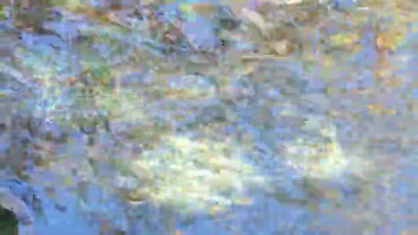 Baum spiegelt sich im Fluss — Stockvideo