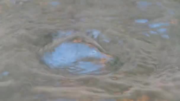 Weerspiegelen en water — Stockvideo