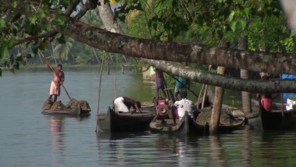 Kerala bacwaters Balıkçı, Kerala devlet, Hindistan — Stok video