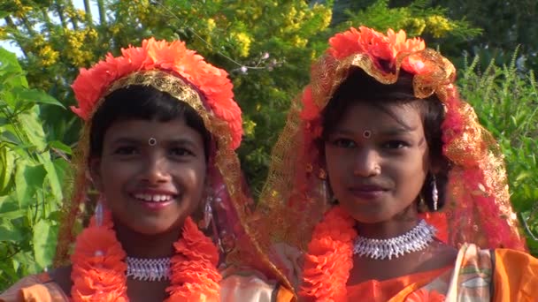 Feier einer indischen Hochzeit in Jaipur, Bundesstaat Radjasthan, Indien — Stockvideo