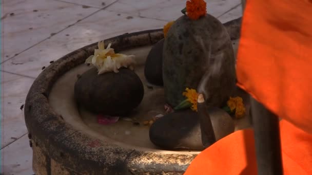 Sadhus op de randen van Varanassi, Ganges, staat Uttar Pradesh in India — Stockvideo
