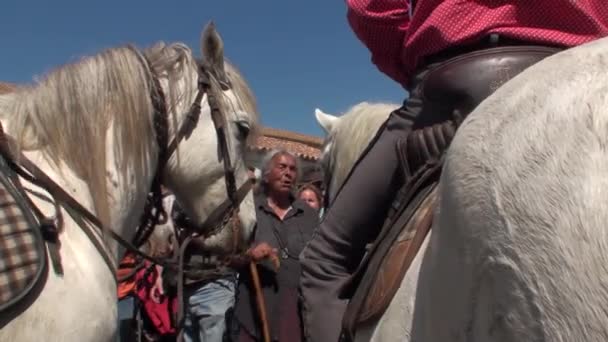 Fest av zigenarna i park nationella Camargue — Stockvideo