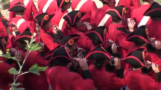 Fiesta de Tarasque, Francia 2015 — Vídeo de stock