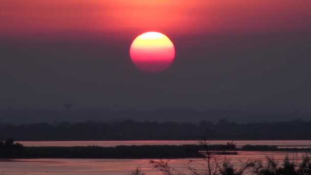 Puesta de sol en el parque nacional de la Camarga — Vídeo de stock