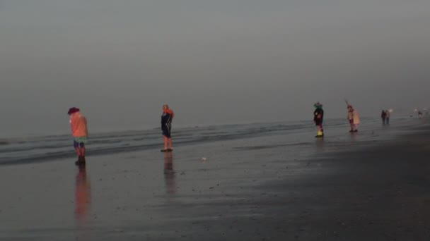 Carnaval van Dunkerque, Frankrijk 2014 — Stockvideo