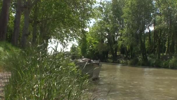 Étangs à bateaux algues et marais 