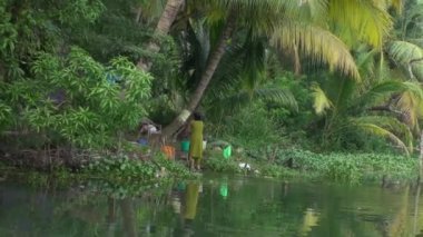 Tekne ve palmiye ağaçları bacwaters Kerala Hindistan