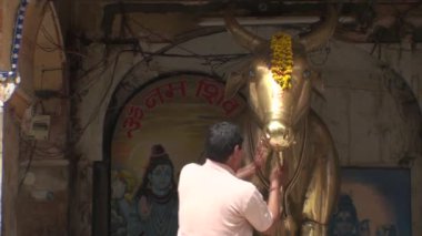 Jaipur altın heykeli, Radjasthan, Hindistan