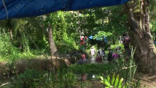 Човен і пальмові дерева в bacwaters в Керала — стокове відео