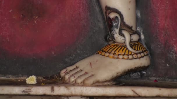 Il Dio Shiva piedi nel tempio indiano di Jaipur, Radjasthan, India — Video Stock