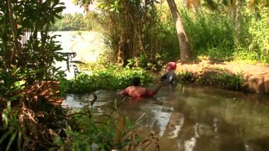 Bacwaters Kerala Hindistan kadınlarda