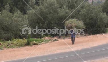 Adam alan Vadisi, Dragan, Haut Atlas, Fas dönmek için