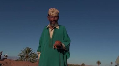 Berber ve onun Iguana Fas çölünde