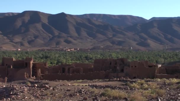 Palmeiras do deserto e rocha Na estrada de caravanas Marrocos — Vídeo de Stock