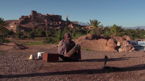 Berber i jego węża w wąwozy Dades w Souss-Massa-Draa, Maroko — Wideo stockowe