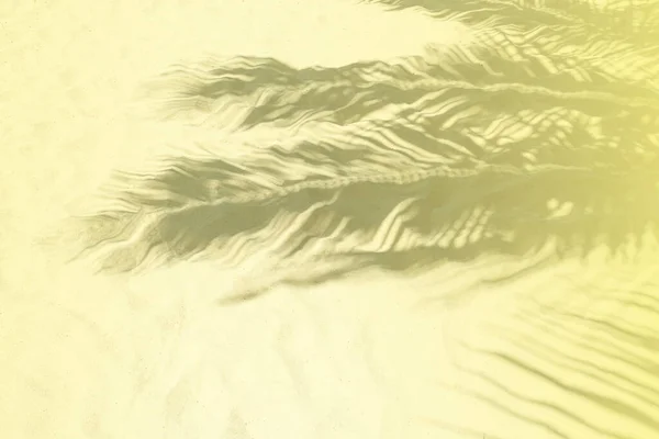 Umbre de frunze de palmier pe un nisip alb pe plaja tropicala. Culoare galbenă tonifiată . — Fotografie, imagine de stoc